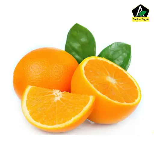 Fresh Malta Fruits